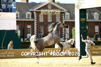 Day 2 Sr Stallions Class 6A 90 AFM FARAA
