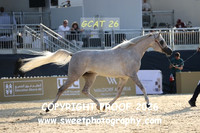 Day 1 Fillies Class 2B Magnolia Ara