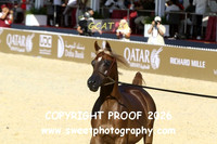 Day 1 Colts Class 4A 29 Porsche VD