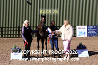 In-Hand Jr Arabian Championship