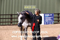 In-Hand Geldings 4 yrs and over
