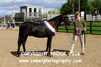 In-Hand Anglo PBA