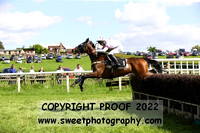 Race 4 Veteran Horse