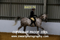 Ridden HOYS Geldings