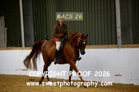Ridden HOYS Stallions