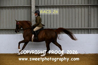 Ridden Amateur Arabian
