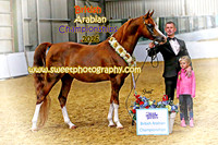 BRITISH ARABIAN CHAMPIONSHIPS September 2026