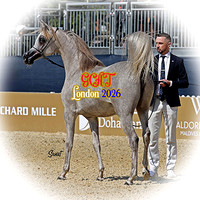 GCAT London August 2026