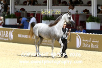Day 2 Colts Class5A 58 DE Morlando