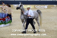 Day 2 Sr Mares 74 Class 3A Sasskia