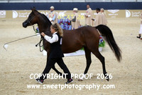 Day 2 Sr Mares Class 3A 77 ROE Lilo