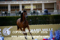 Day 3 Yearling Filly Championship 22 Fay Al Nasser
