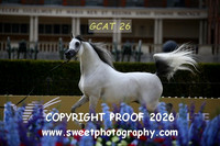 Day 2 Class 6A Sr Stallions 87 D Shahhar