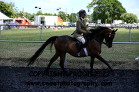 RIDDEN HOYS Mares