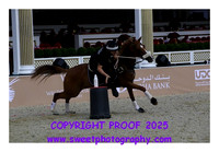 MOUNTED GAMES Race 12