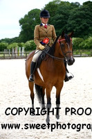 SUNDAY HOYS MARES