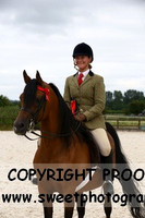 SUNDAY HOYS STALLIONS