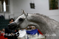 Saturday Colts 3 yrs