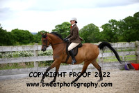 RIDDEN Novice Arab Geldings