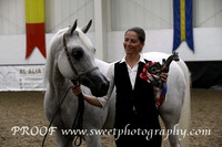 Sunday Mares 11 to 16 yrs