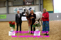 IN-HAND  Geldings Sr Championship