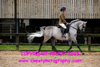 RIDDEN Novice Geldings