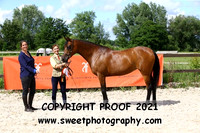 SATURDAY AL JASSIMYA NOVICE