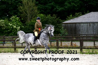 SUNDAY NOVICE GELDINGS