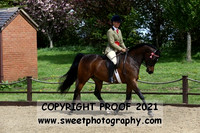 RIDDEN Novice Mares