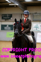 RIDDEN HOYS Stallions