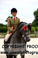 SUNDAY NOVICE STALLIONS