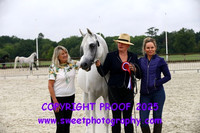 Saturday In-Hand BNC Stallions 4-14 yrs