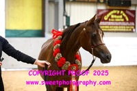 IN-HAND Mares