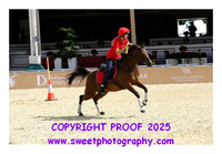 MOUNTED GAMES Race 1
