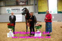 IN-HAND Geldings 1-3 yrs