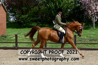 RIDDEN Open Stallions