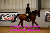 RIDDEN HOYS Geldings
