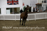 Sunday Mares 17 plus