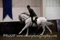 Saturday Ridden Geldings