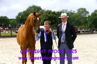 Saturday Young Handlers Intermediate