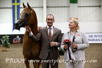 Saturday Fillies 3 Yrs
