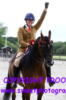 HOYS Geldings