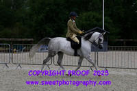 HOYS Mares