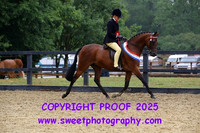 BNC Part Bred Ridden Championship