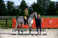 SUNDAY AL JASSIMYA PERFORMANCE & VERSATILE HORSE