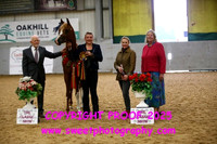 IN-HAND Jr Male Championship