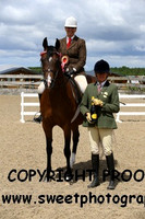 RIDDEN Open Arab Mares