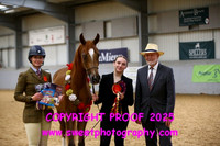 IN-HAND Young Handlers, Amateurs & Darley A