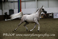 Saturday Geldings Senior A