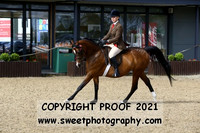 RIDDEN Pure Novice B